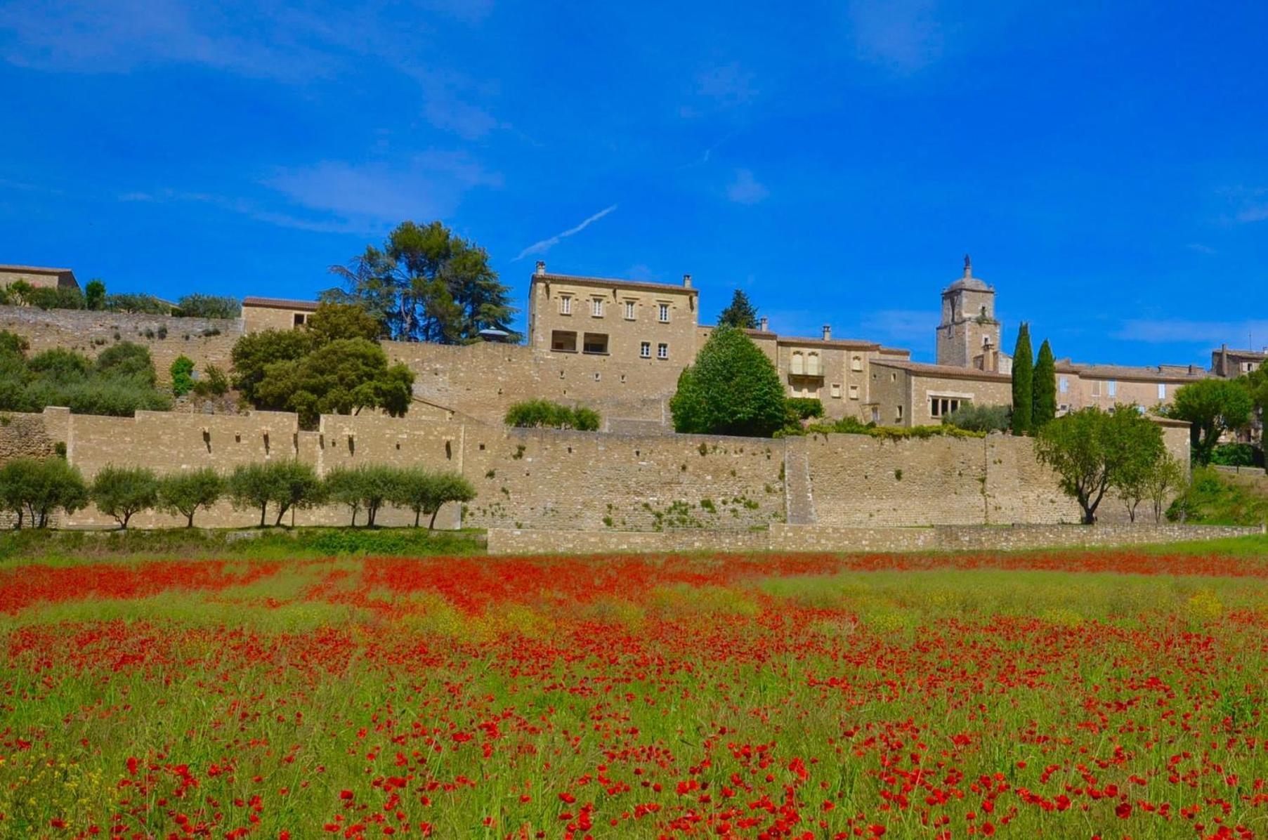 Robion en Luberon Ferme St Rochヴィラ エクステリア 写真